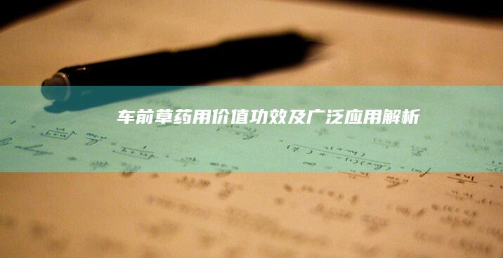 车前草：药用价值、功效及广泛应用解析